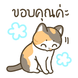 มีตัง แมวขายาว รูปที่ 24