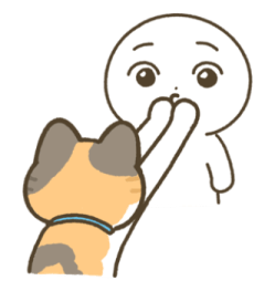 มีตัง แมวขายาว รูปที่ 26