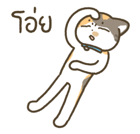 มีตัง แมวขายาว รูปที่ 27