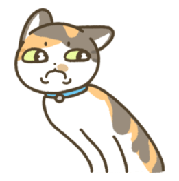 ลายที่ 55