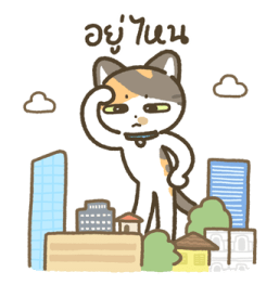 มีตัง แมวขายาว รูปที่ 32
