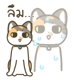 มีตัง แมวขายาว รูปที่ 35
