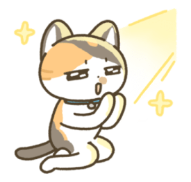 ลายที่ 77