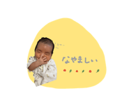 798663425