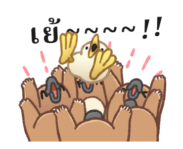 ลายที่ 3