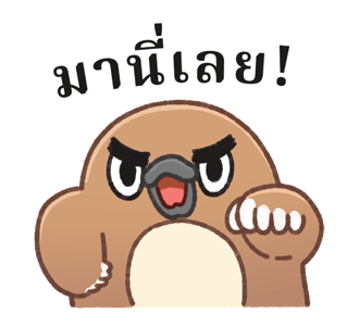 ลายที่ 11