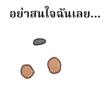 ลายที่ 23