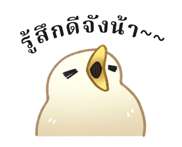 ลายที่ 43