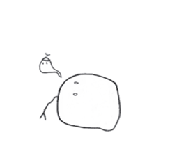 7986704