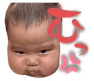 798711443