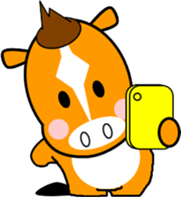 798746480