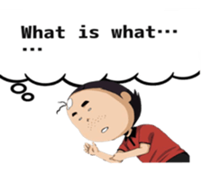 7987491