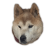 798778145