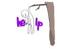 798815162