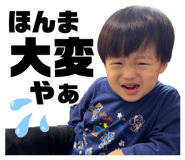 798867181