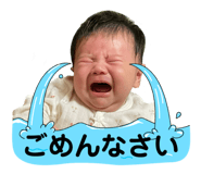 798867711