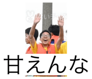 798877520