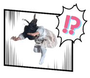 798882632