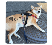 798885359