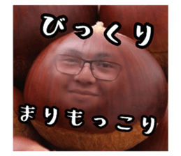 798886047