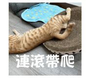 798894845