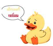 798903842