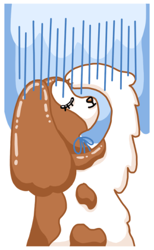 ลายที่ 5