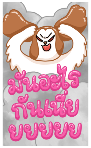 ลายที่ 13