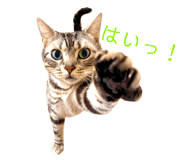 798923497