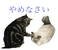 798923498