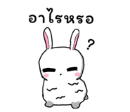 798966677