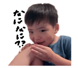 798977961