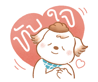 ลายที่ 13