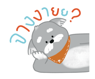 Slow Surf Gang รูปที่ 13