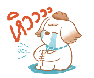 ลายที่ 43