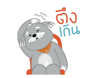 Slow Surf Gang รูปที่ 38