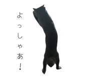 798991738