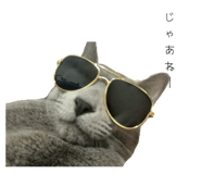 798991752
