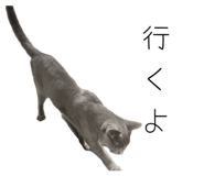 798991756