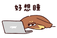 799011508