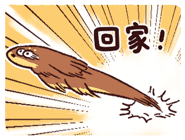 799011521