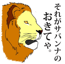 7990204