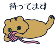 799020687