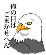 7990233