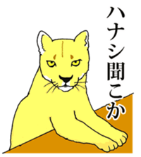 7990240