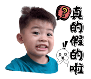 799030381