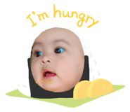 799031454