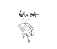 799067686