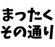 799075304