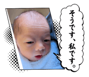 799080438